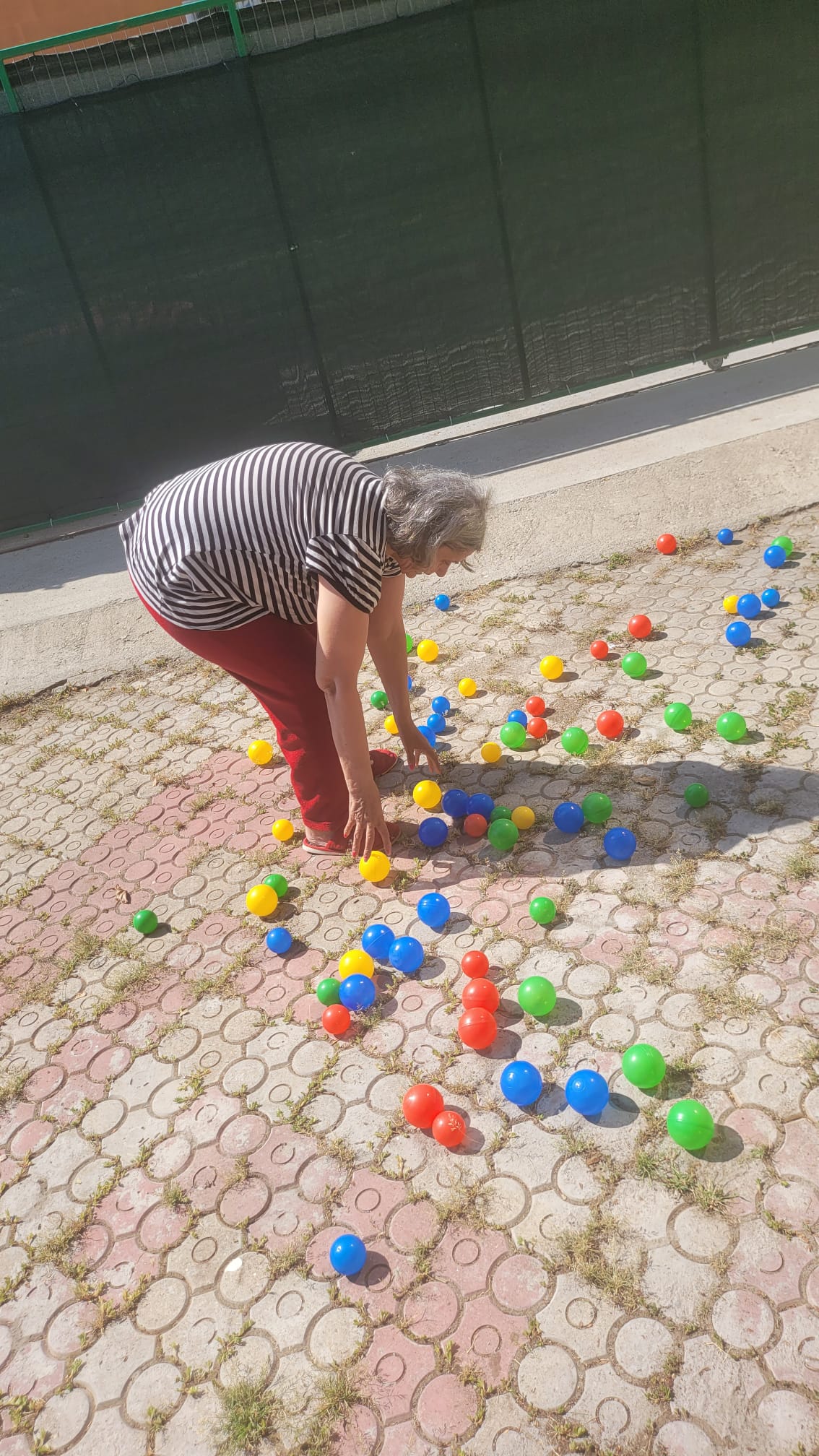 Grădină frumoasă